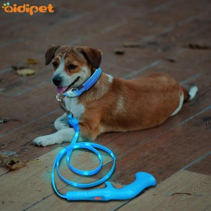 Forró értékesítésű termékek biztonsága Fényvisszaverő bőr kedvtelésből tartott kutya gallér edző sétapóráz